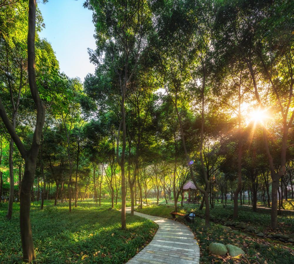 Chengdu Wangjiang Hotel Экстерьер фото